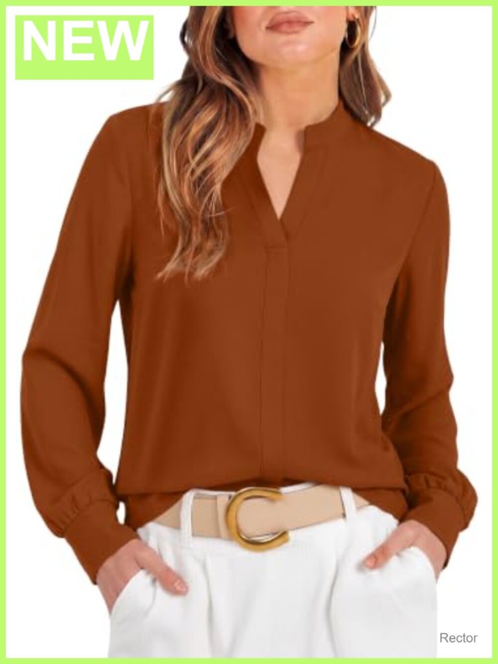 Womens Blouse Business Casual Long Sleeve V-Neck Pullover Office Top